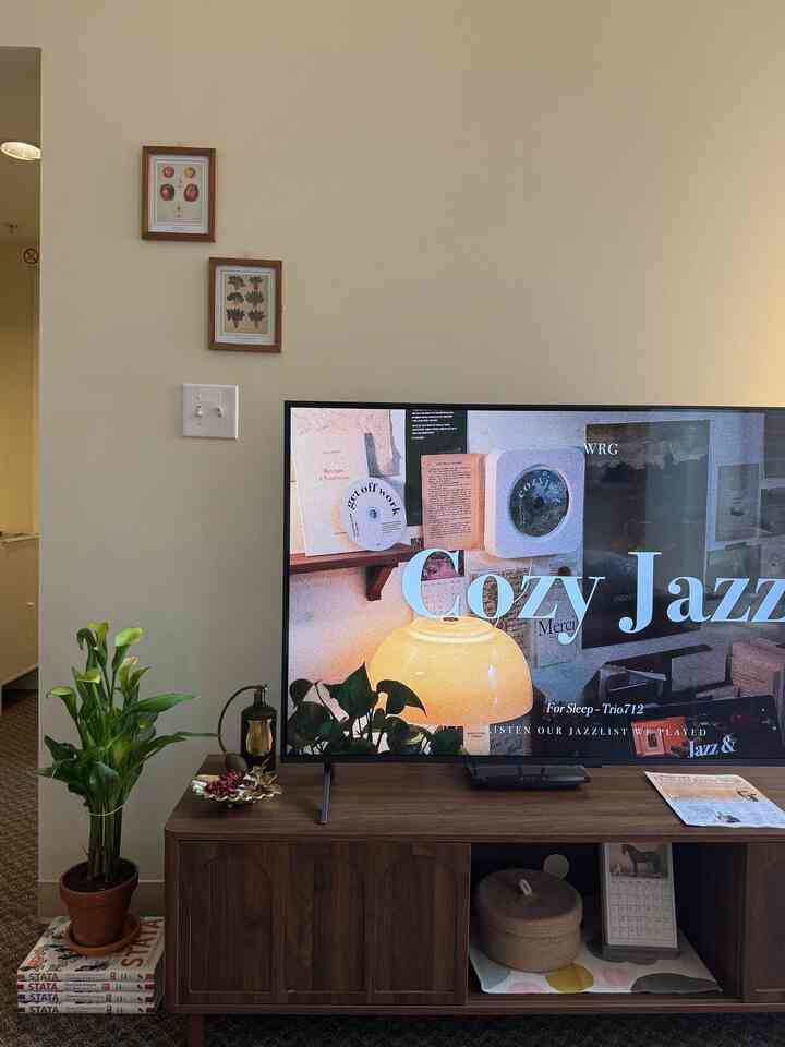 #midcenturymodern #livingroom #tvstand #cozy