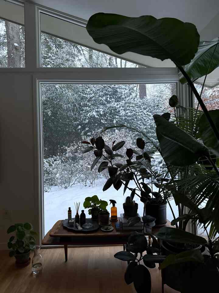 A snow day… #inmyroom #bedroomview #plants #indoorplants #plantsinmyroom