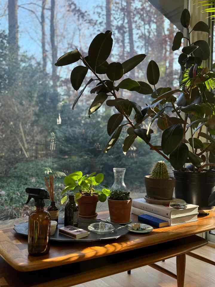 In the corner of my room #planters #indoorplant #roomdecor #cozyroom