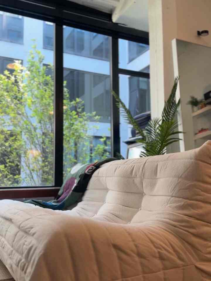 Natural color toned living room featuring a comfortable white sofa and green plants by large modern windows with natural lighting