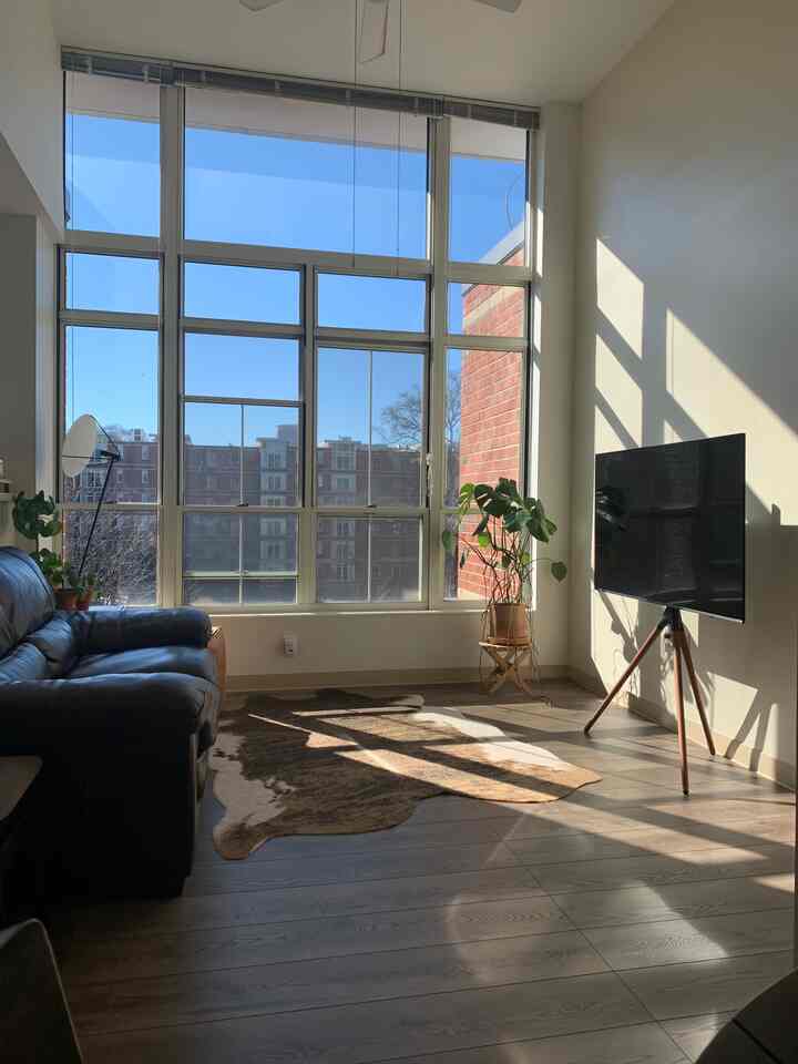 Natural-toned living room featuring large windows, leather sofa, cowhide rug, and tripod TV stand with cozy natural atmosphere