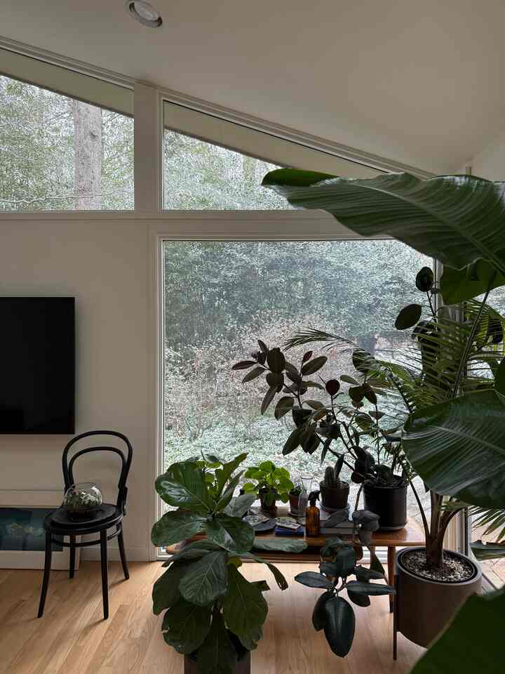 In my bedroom… #bedroom #indoorplanta #roomdecor