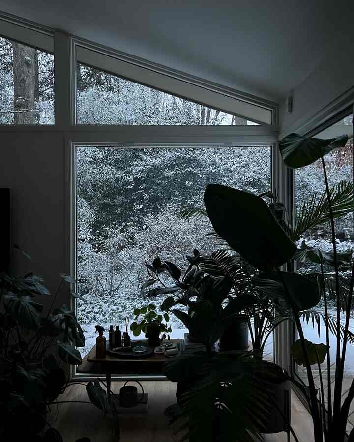 Snowday at home #roomdecor #window #Planterrier #roominteterior