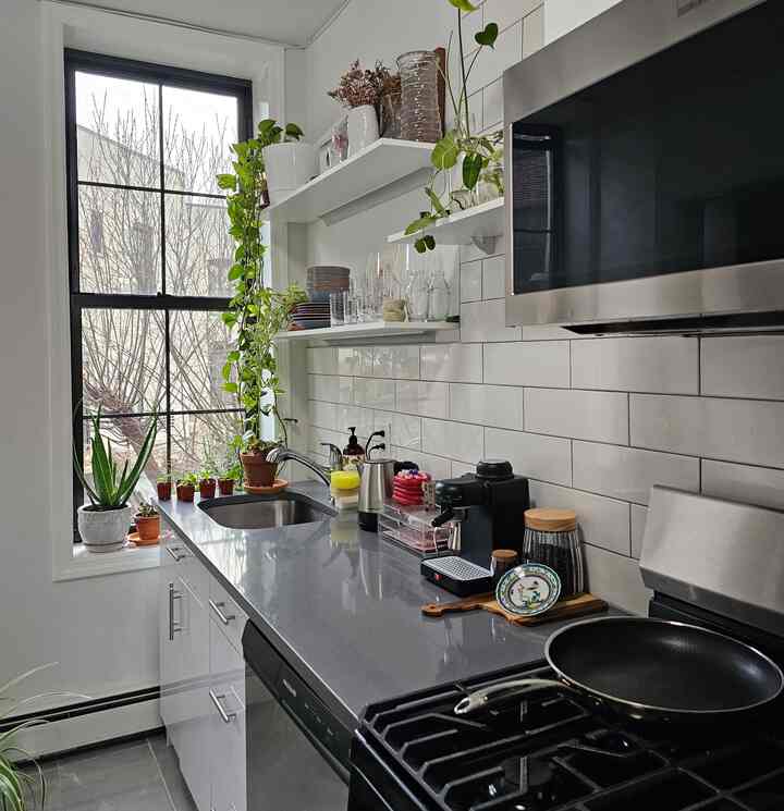 #cookware #hexclad #kitchen #modern #biophilichome #plants #apartment #nyc