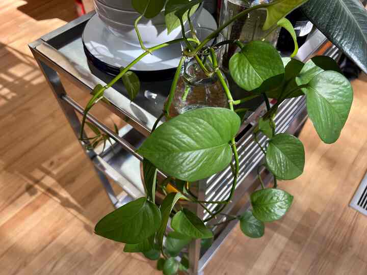 Di dapur saya #barcart #kitchenorganizer #barcartdecor #kitchenstuff #kitcheneverything