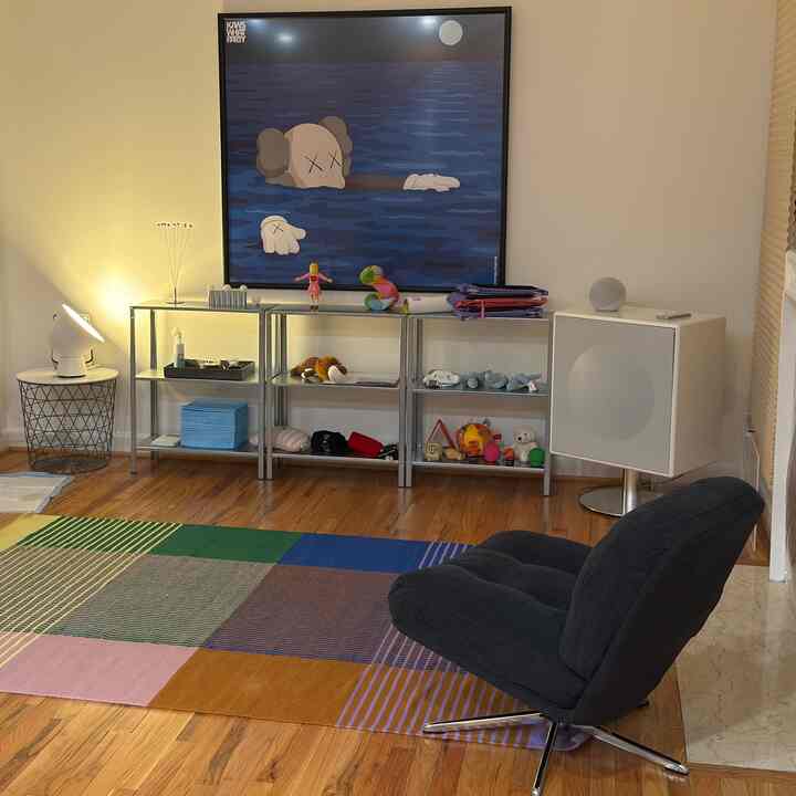 Living room with a vivid multicolor rug on wood tone floor, featuring versatile shelves neatly holding pet toys and cozy atmosphere