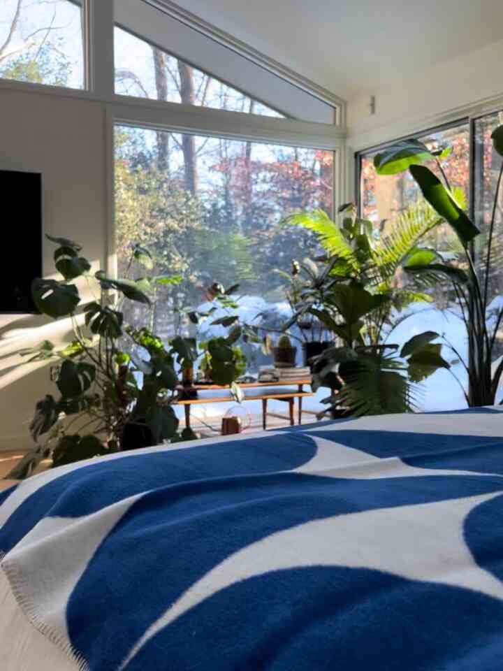 Blue bed throw and plants in my bedroom 💙#bedroom #bedroomdecor #bedroominterior #bedroom #roomdecor #bedthrow #cozyroom #cozyroomdecor