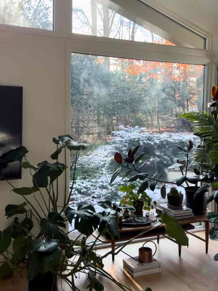 Corner of my room #Planterrier #plnatsdecor #roomdecor #roominterior #planters