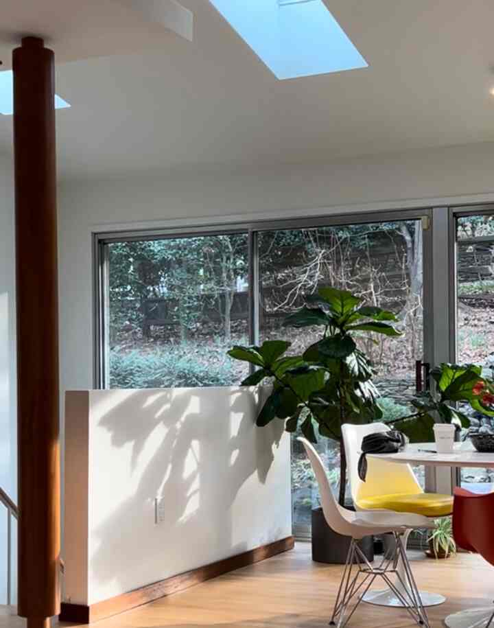 Modern natural dining room with white walls and wood-tone flooring, featuring a dining table, chairs, and large indoor plants
