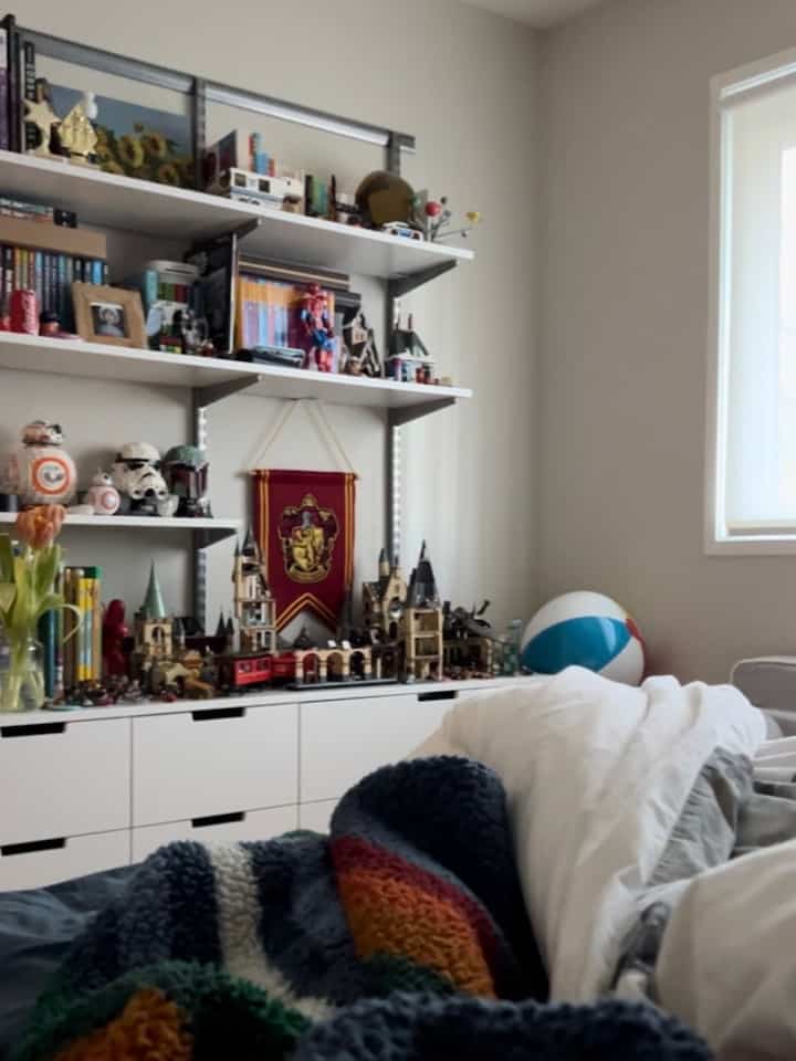 Tagged posts featuring White Elfa Décor Bookshelf 3