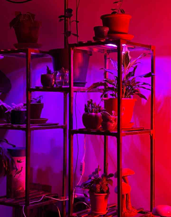 #plants #plantlight #planter #plantshelf #moodlighting #apartment #nyc #biophilichome