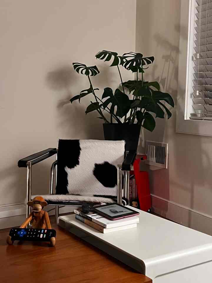 Pop of red in the corner #livingroominterior #livingroomdecor #plant #vitsoe #livingroom
