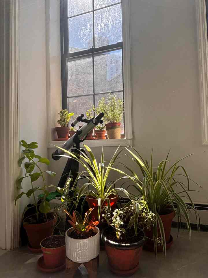 Plant oasis 🪴🌱



#plants #apartment #biophilichome #planters #plantbutler #naturalinterior 