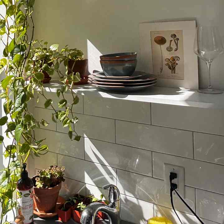 My partner and I both love mushrooms, and this is a beautiful depiction of our creative collaboration.



#apartmentkitchen #plants #biophilichome #kitchen #nyc #plantpot #boygirlapartment #mushrooms #couplesapartment