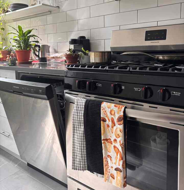 Modern kitchen with silver appliances, terracotta pots, and mushroom-patterned kitchen towels hanging on the stove