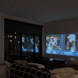 Comfy sofa, cozy blanket, and pups on the playlist 🛋️ 
#cozylivingroom #mcm #japandi #modularsofa #checkeredblanket #projector #sozyhome