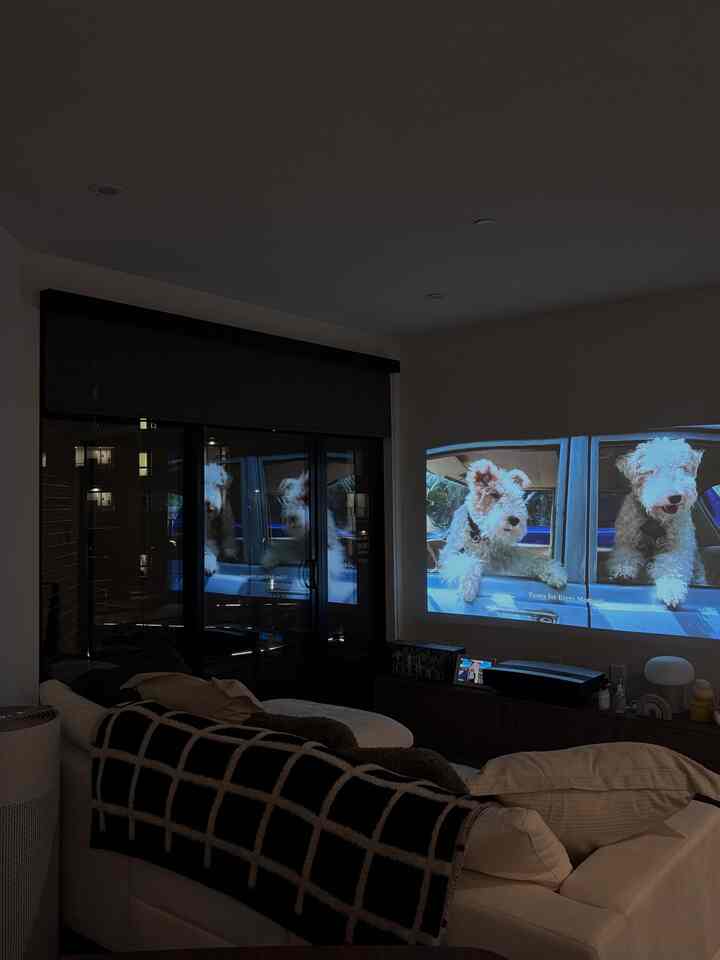 Comfy sofa, cozy blanket, and pups on the playlist 🛋️ #cozylivingroom #mcm #japandi #modularsofa #checkeredblanket #projector #sozyhome
