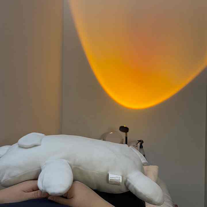 Bathed in the soft glow of sunset light 🌞 #beautyday #sunsetlight #warm 