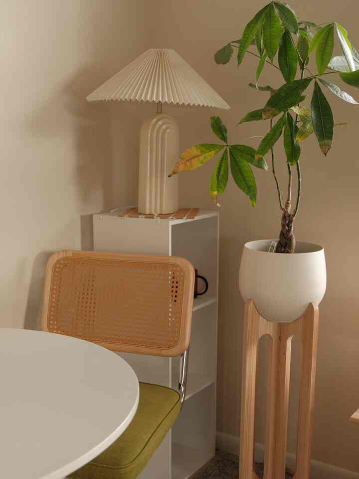 Organization tips & tricks:
Love how the Braid and Wood Arches Plant Stand and Pot matches my aesthetic and this corner perfectly 😮‍💨🤌🏼

In terms of organization, consider pots or baskets that match for all of your plants :) for a cohesive and neat look!

#bookshelf #lampstand #cornershelf 