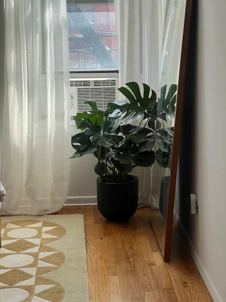 New plant for my home!!! #bedroom #apartment #bedroomideas