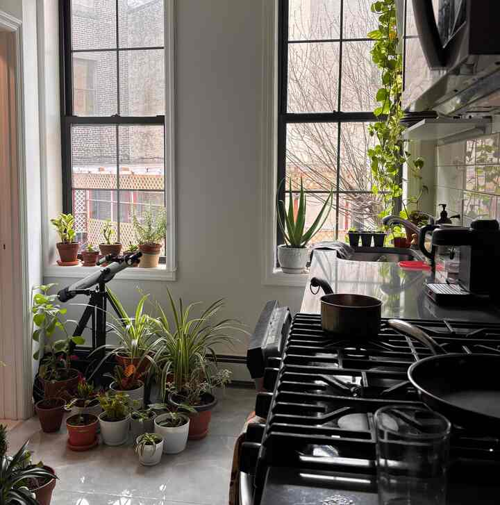 A little plant crazy 

#plants #kitchenplants #kitchen #modern #biophilic #plantpot #planters