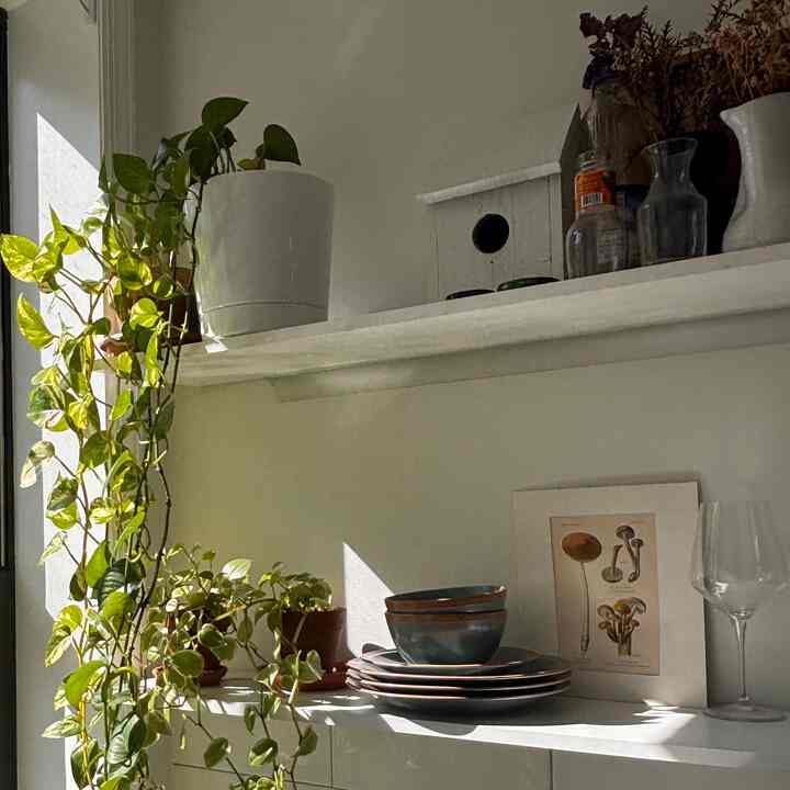 
#Planterrier #plants #kitcheninterior #kitchentile #kitchenlighting #plantpot
