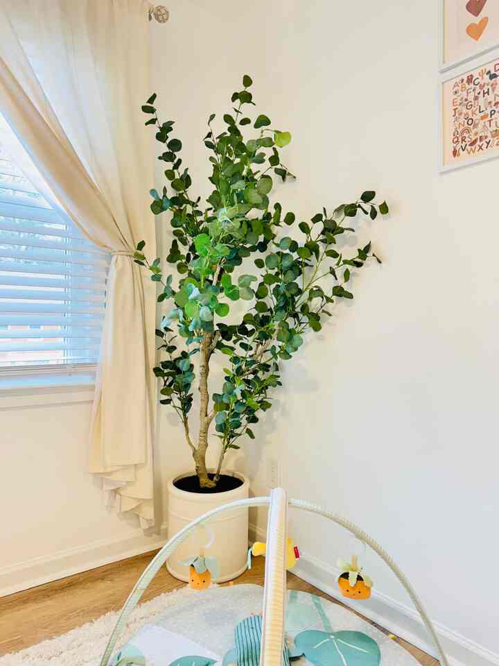 A cozy little corner for our little one to grow, play, and dream ✨

#babyroomdecoration #baby #babyroom #plant #plantinterior 