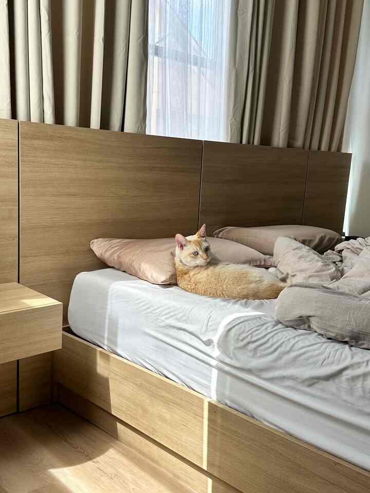 Natural wood tone and beige bedroom featuring a cat lounging comfortably in the center of the bed