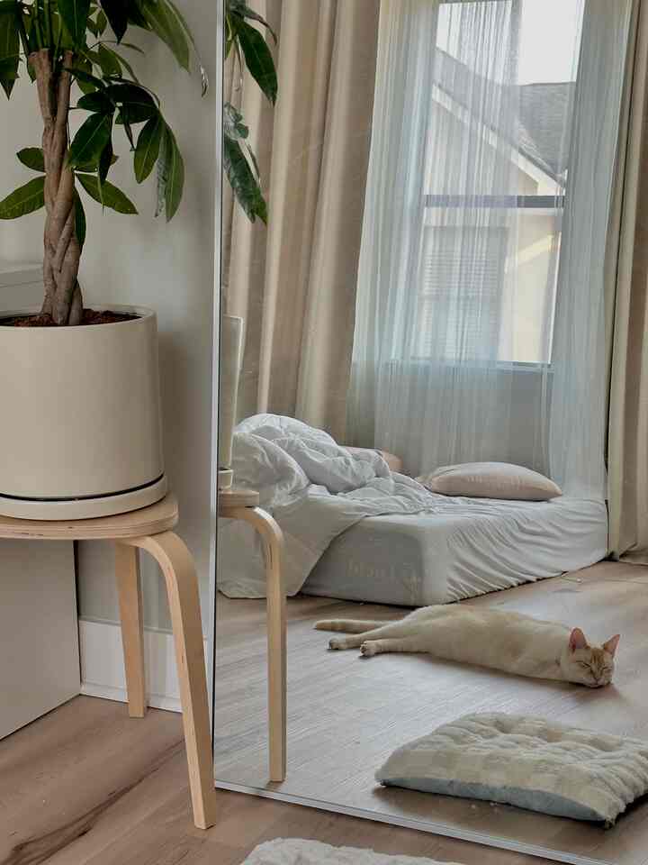 Natural tone bedroom with wood flooring, large mirror, window with curtains, and a cat lying stretched on the floor