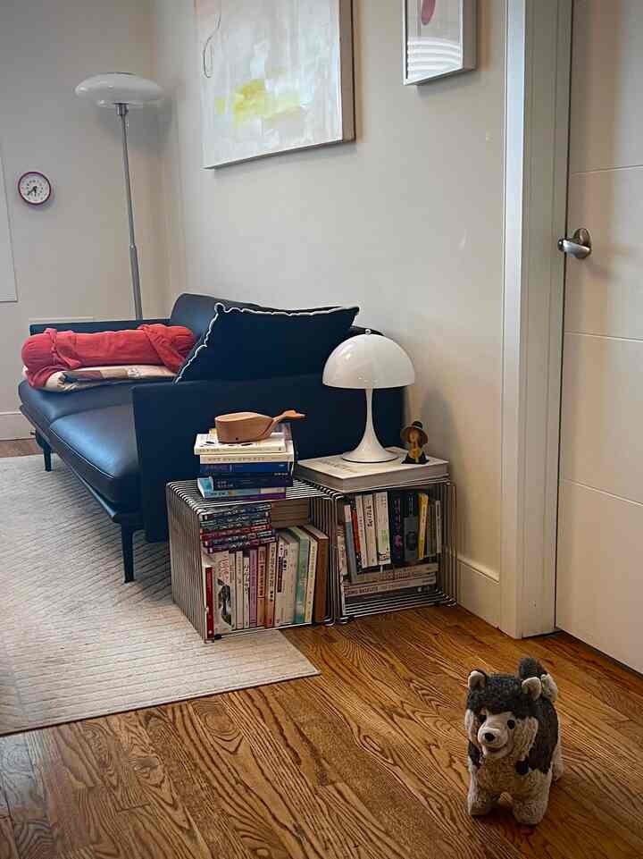 Ini sahabat suamiku. Namanya Lash 🐶 #livingroominterior #livingroom #lamp #decoration #bookshelf #bookshelfinterior