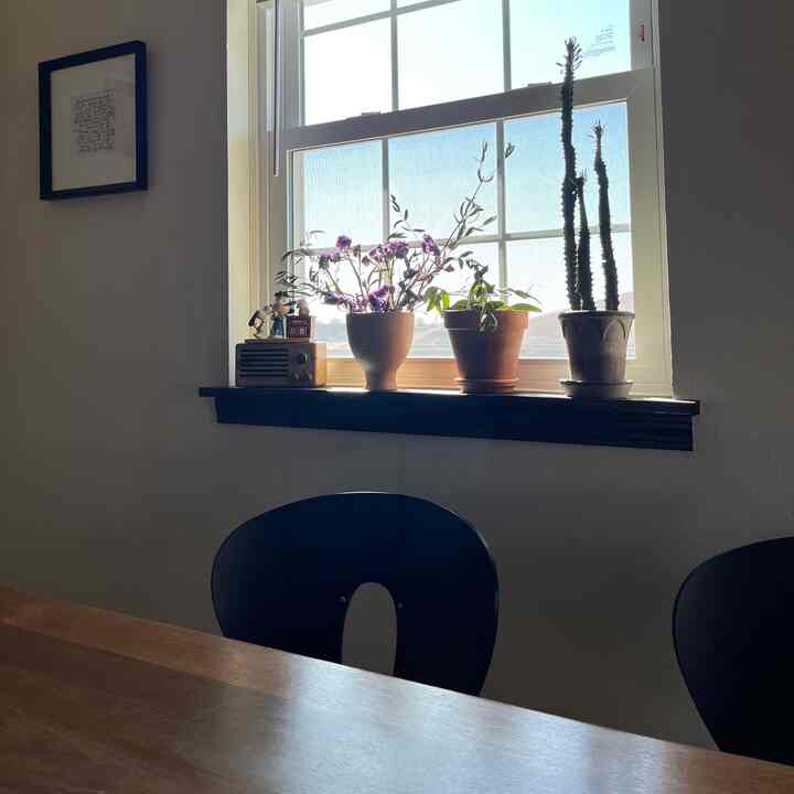 Bright sunlight-filled living room with white walls, window sill displaying potted plants and a vase, featuring black dining chairs and a wooden dining table creating a warm atmosphere