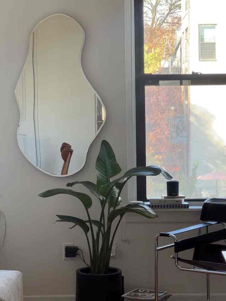 Modern living room with white walls and black furniture, featuring an organic-shaped mirror and a large plant as focal points