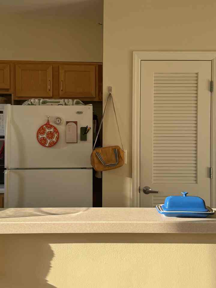 🌻

#kitchen #kitcheninterior #kitchenaccessories #kitchenitems #kitchendecoration 