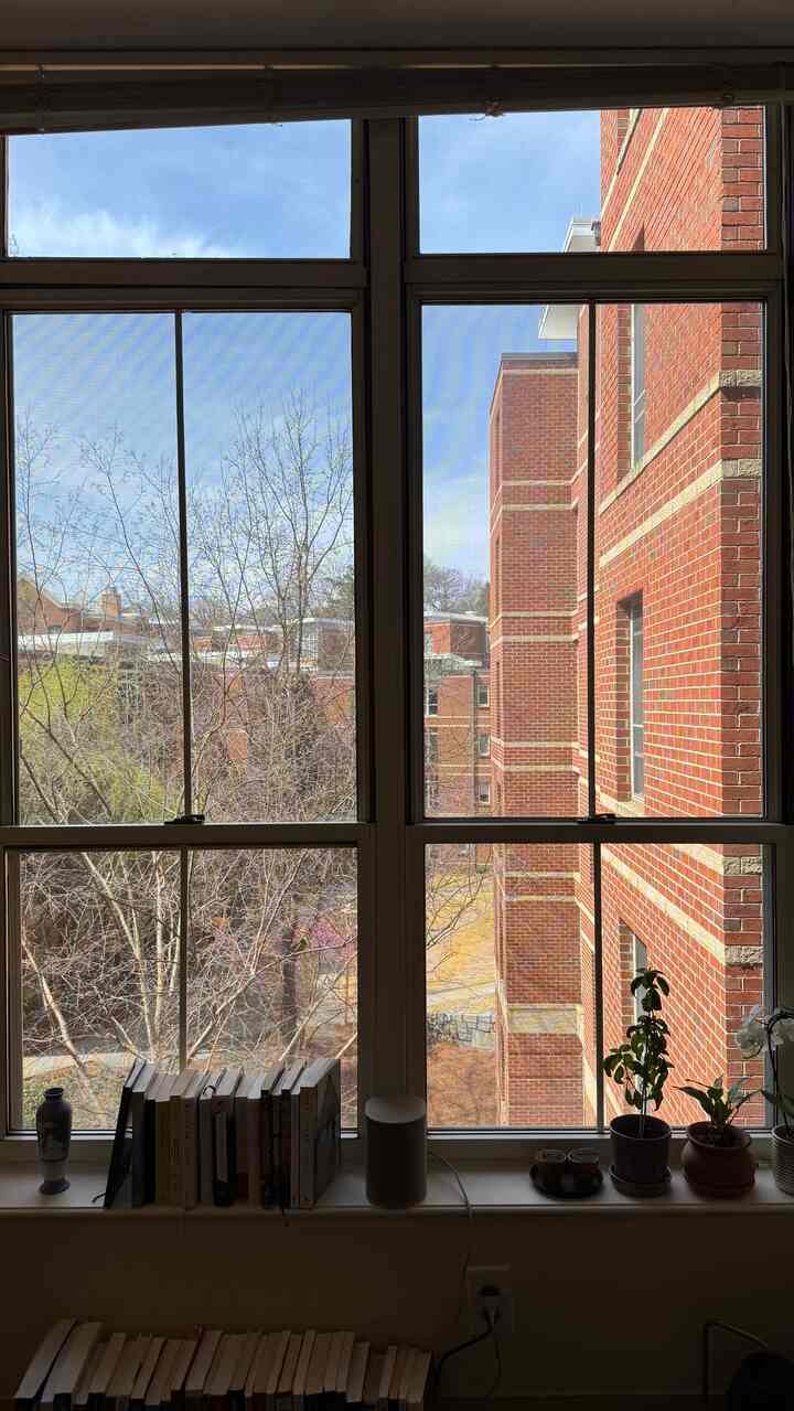 musim semi sudah di depan mata :)

#livingroominterior #livingroom #livingroomdecoration #livingroomframe 
#window