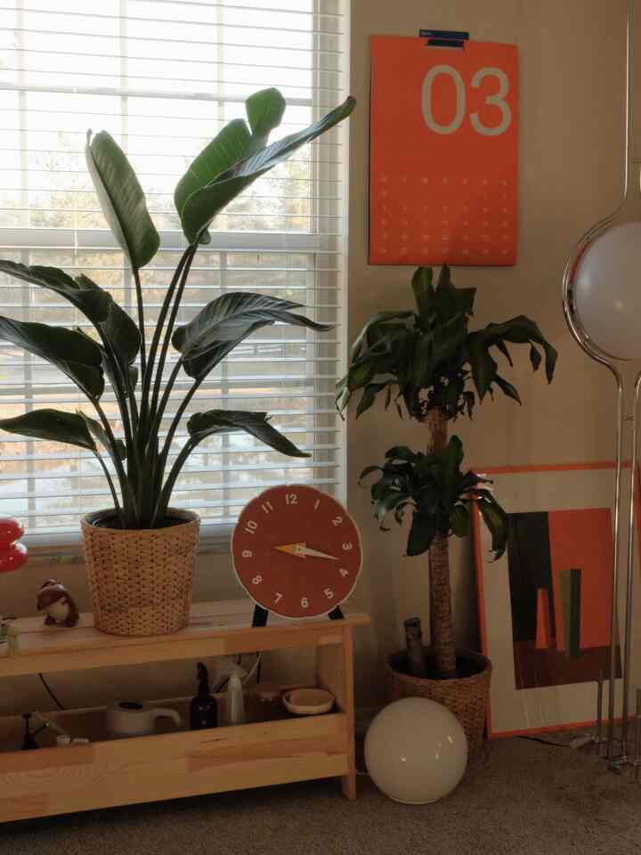 Morning vibes :)

I love staring out at my pond in the early morning when the ducks and geese are swimming 🤗

#diningroom #lamp #ikea #orangefurniture #artwork