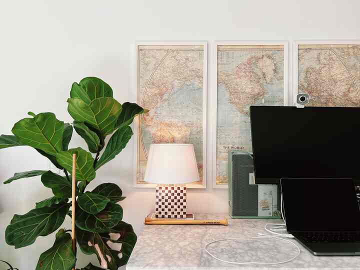 My desk where vintage meets modern
#productive #wfh #fiddleleaffig #plants #desk #eclectic