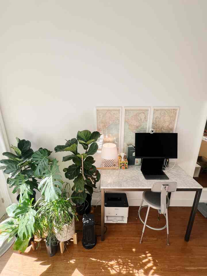 White-walled and brown-floored home office space featuring abundant plants
