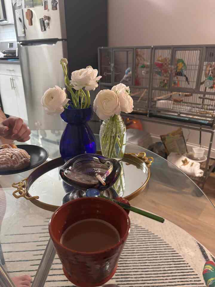 Evening coffee

#diningtable #coffeetime #nyc #apartment
#biophilic