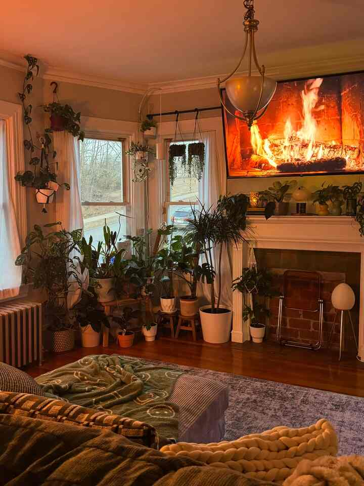 Living room in warm gold tones with lush green plants, comfortable sofa and blanket creating a cozy atmosphere