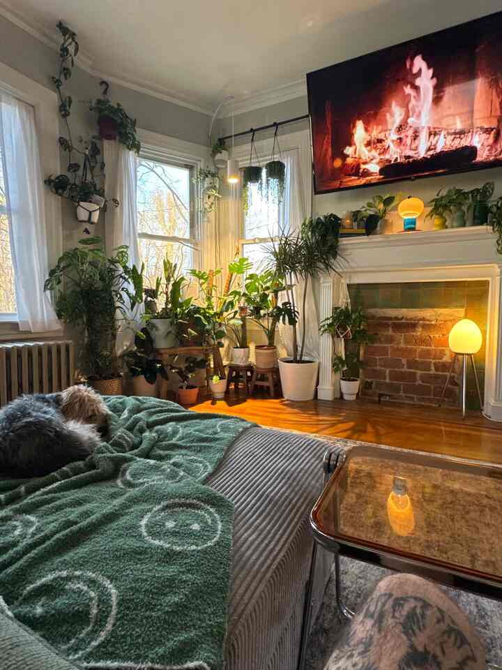 Cozy living room corner with abundant green plants and warm lighting, dog resting on green throw blanket on sofa