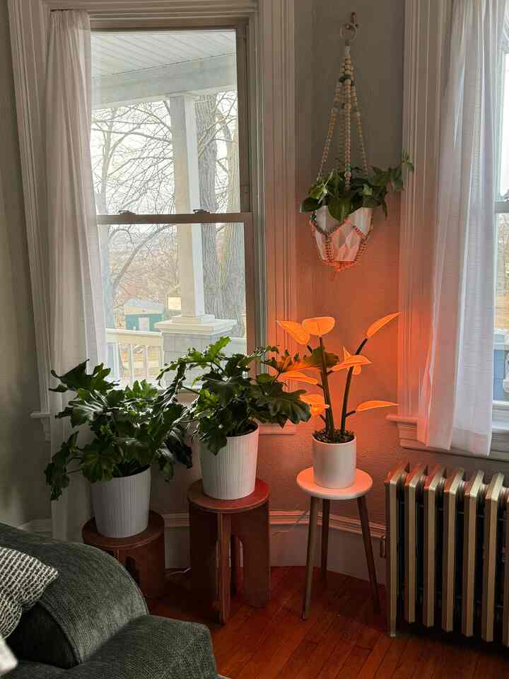 A living room corner with white walls and large windows, featuring green plants on and beside wooden stools illuminated by warm lighting, creating a natural atmosphere.