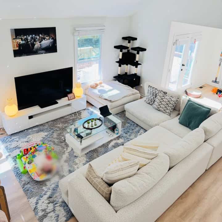 Bright natural-toned living room featuring beige sofa, ottoman, and a cat lounging in sunlight creating a cozy atmosphere
