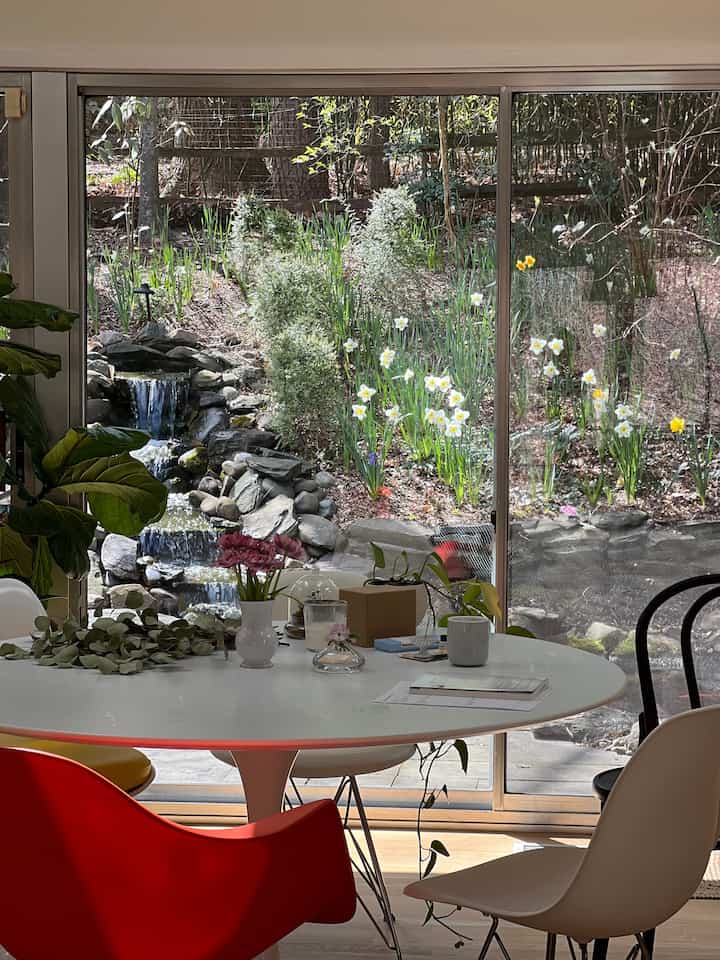 Spring vibes #diningroom #diningtable #diningchair #hermanmiller #knoll #eameschair #thonet