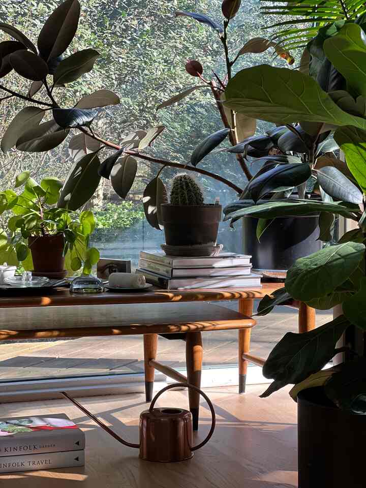 Bedroom decor #cozydecor #bedroom #plantsinmyroom