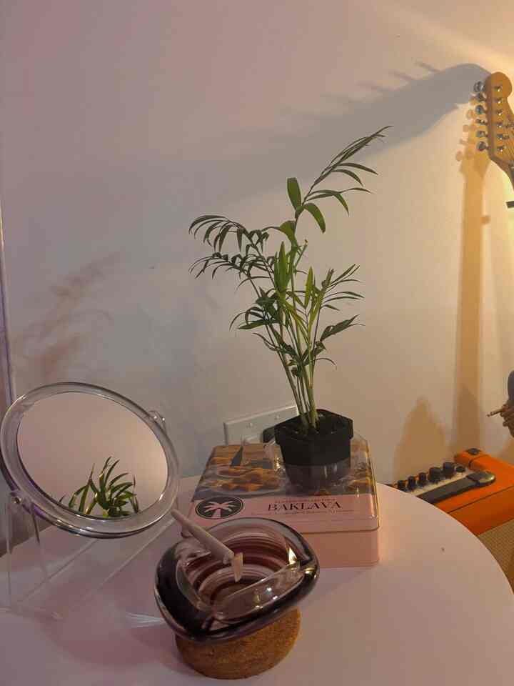 The mood to a night in; Featuring a new plant and baked goods from my love 🧁🍪🥮🤍 #livingroom #sidetable #mirror #plants #apartmentinterior #nyc