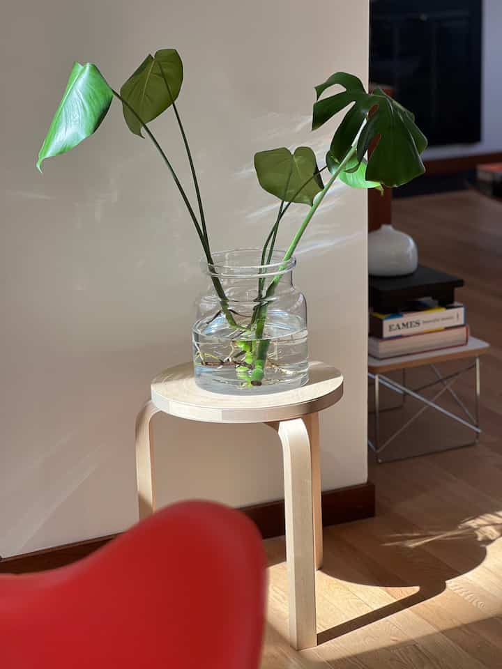 Livingroom decor #aaltostool #hermanillersidetable #eameschair #livingroom #livingroomdecor #livingroominterior