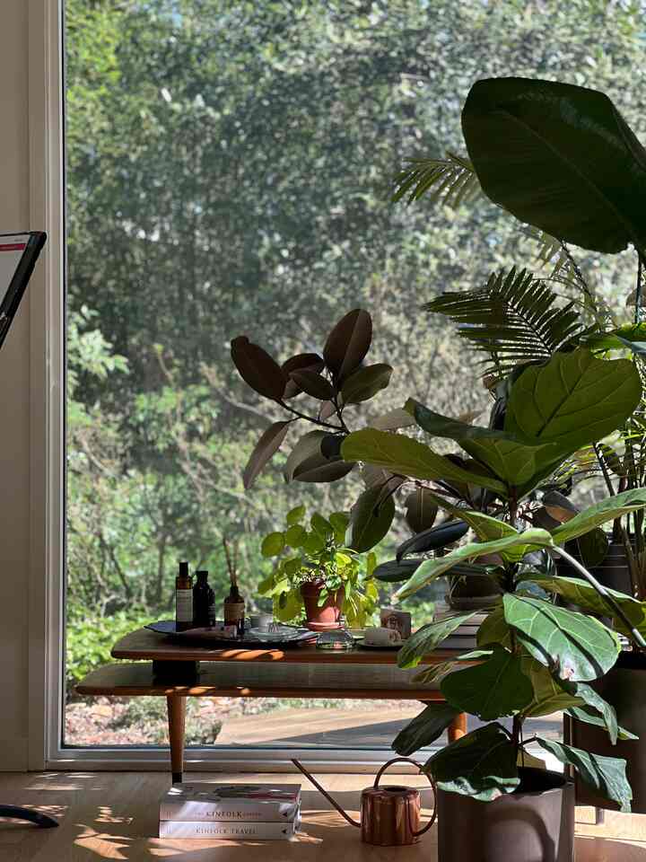 Indoor plants #Planterrier #plants #plantsdesign #bedroom #bedroomdecor #bedroominterior #roomdecor 