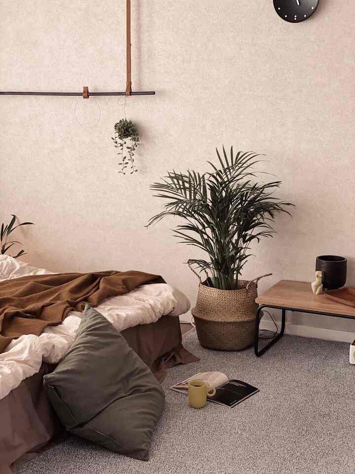 Beige natural-tone bedroom featuring a large plant and low wooden table creating a cozy atmosphere