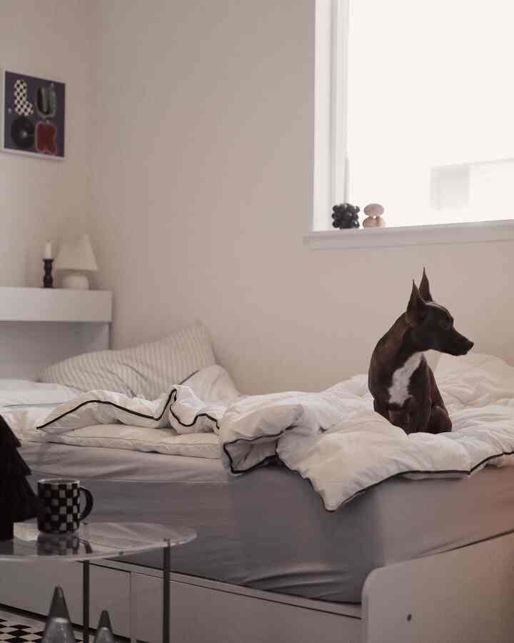 My girl’s room 🤍

#roomtour #hometour #bedroom #bedroominterior #bedroomdecor #storagebed #bedding #lamp #candleholder #sidetable #dog #kidsroom #girlsroom 