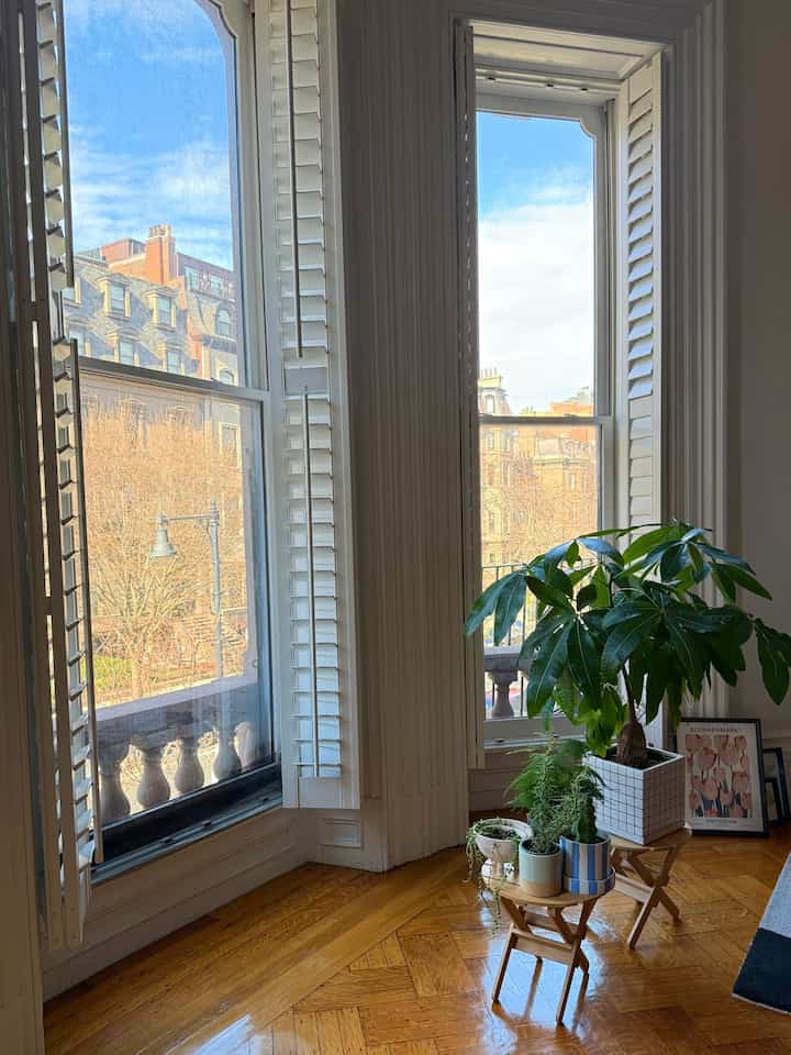 Back Bay Spring 🌞🌿
Koleksi tanaman tumbuh perlahan, termasuk pucuk wortel yang tumbuh dengan indah! #Planterrier #plants #spring #window #sunny 
